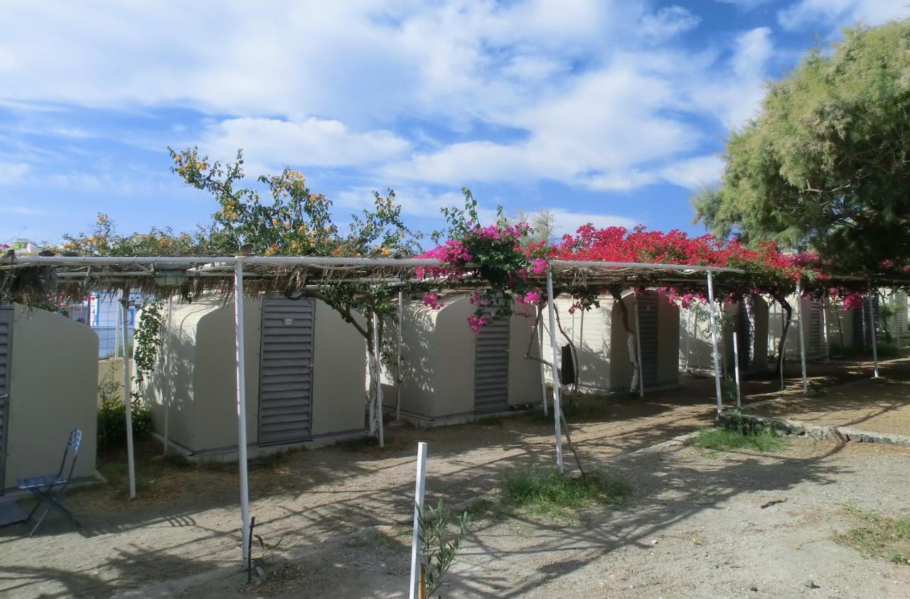 Santorini Camping & Hostel Φηρά Εξωτερικό φωτογραφία