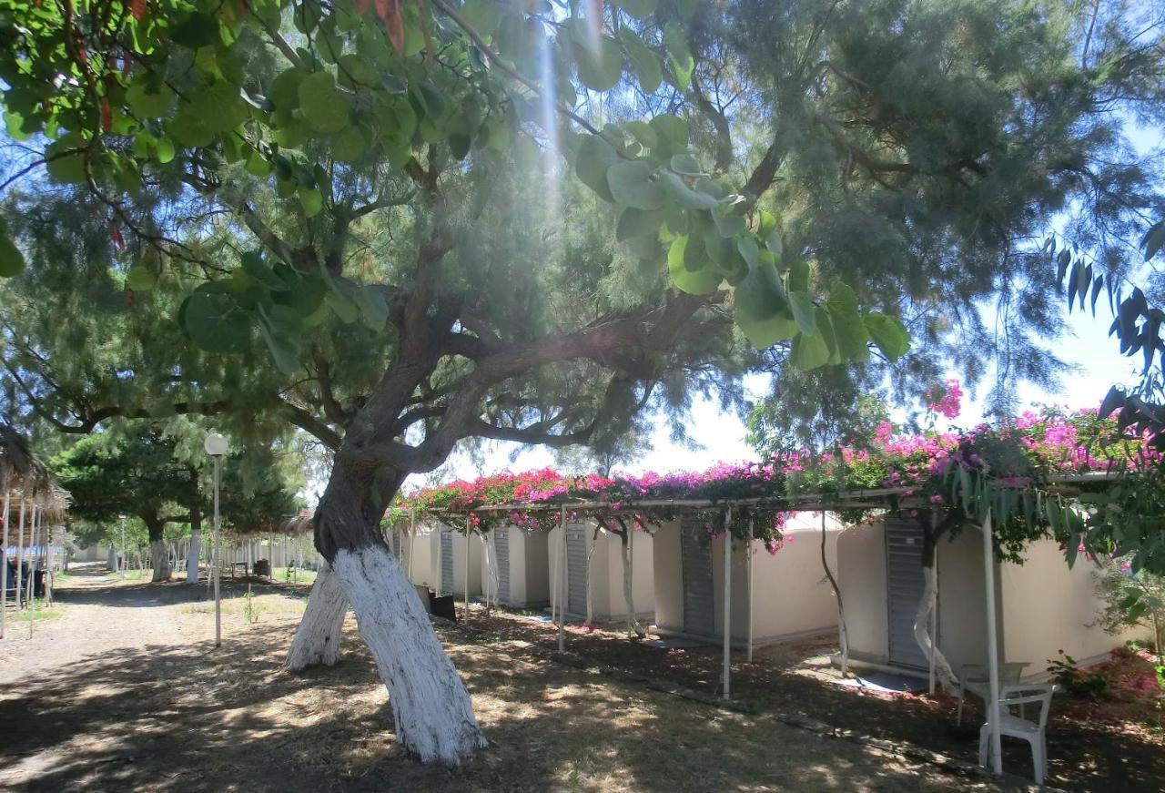 Santorini Camping & Hostel Φηρά Εξωτερικό φωτογραφία
