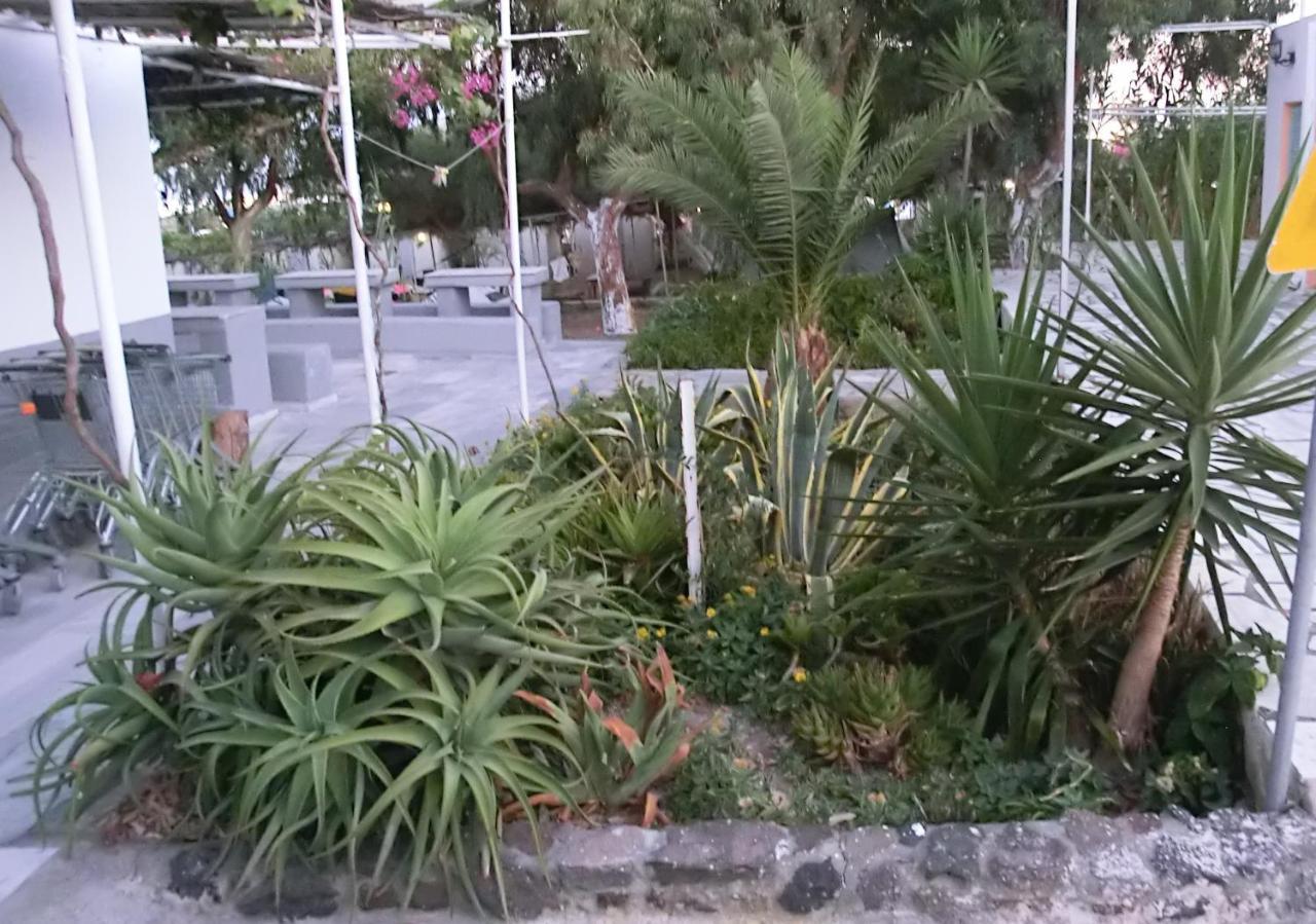 Santorini Camping & Hostel Φηρά Εξωτερικό φωτογραφία