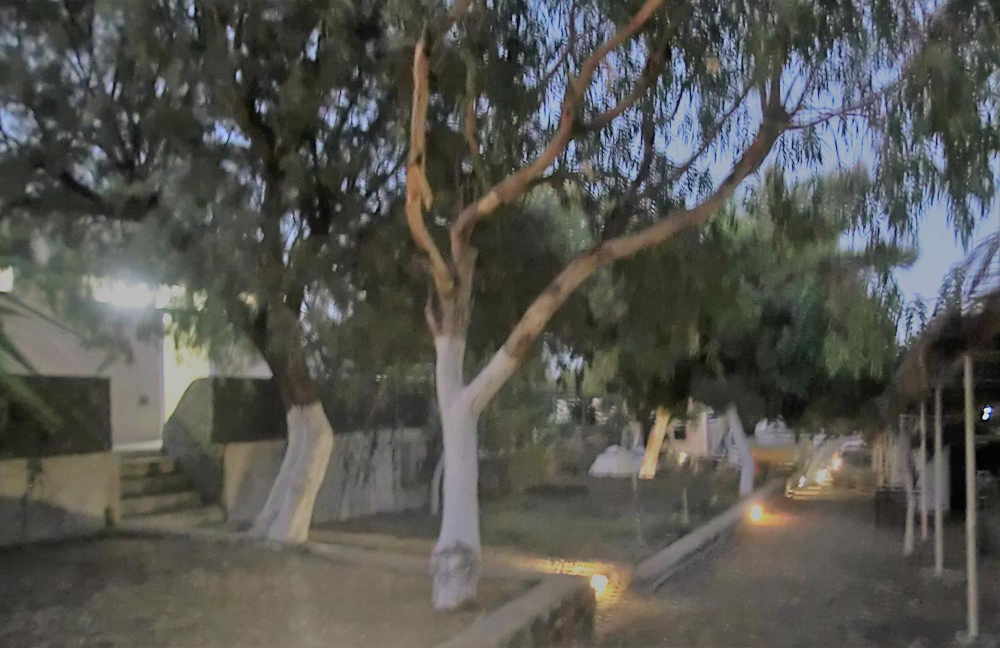 Santorini Camping & Hostel Φηρά Εξωτερικό φωτογραφία