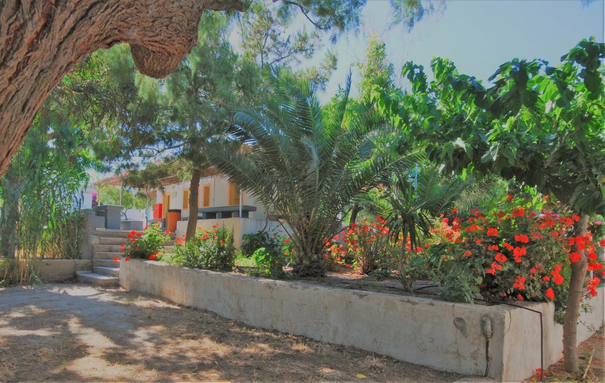 Santorini Camping & Hostel Φηρά Εξωτερικό φωτογραφία